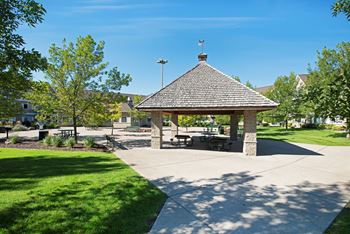 Grills/Picnic Area  at Townhomes at Preserve, Rogers, Minnesota